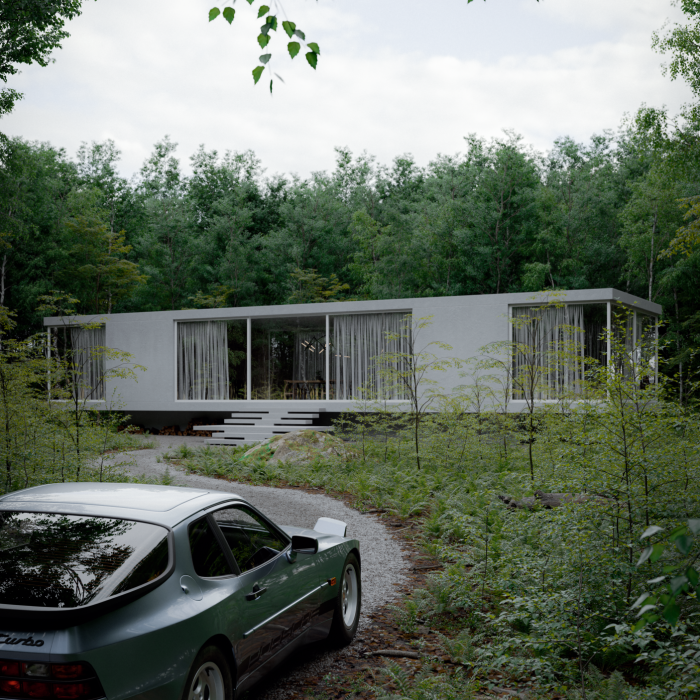 Silence Between Trees