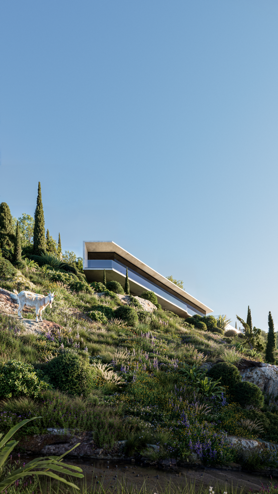 Slit Horizon Slit Horizon