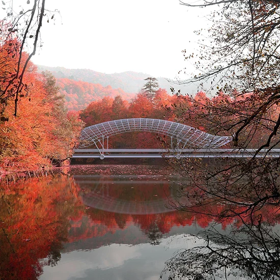 autumn trees render corona renderer 3