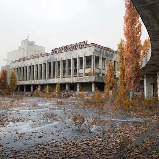 autumn trees render corona renderer 9