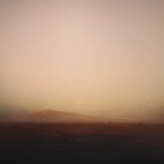 autumn trees render corona renderer 4