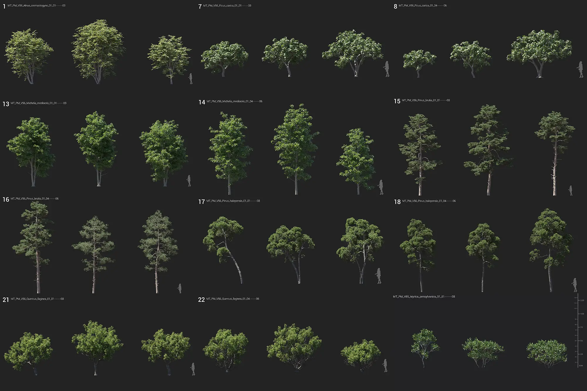 MT_PM_21 and MT_PM_56