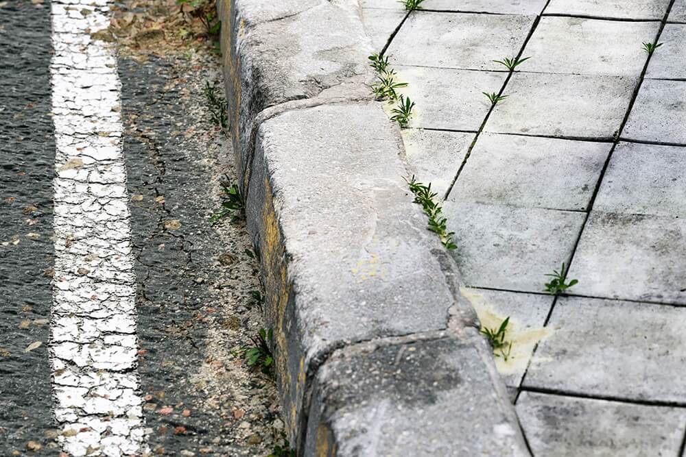 3D visualization of the road sidewalk 3