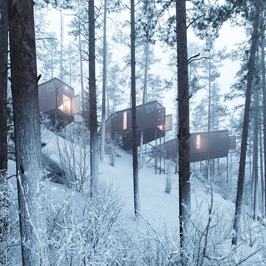 Florian Hoch (FLO.H) 3D Render House Forest