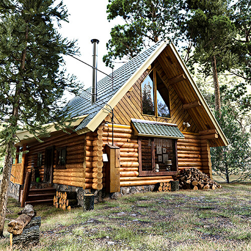 Bortnitsky Studio 3D Render House Forest