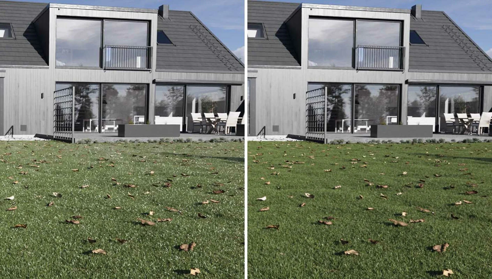 Firefly Removal Corona 13