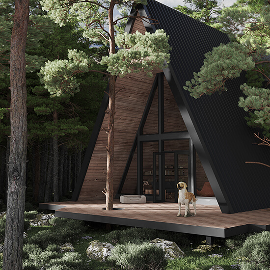 Inna Kostiuk 3D Render House Forest