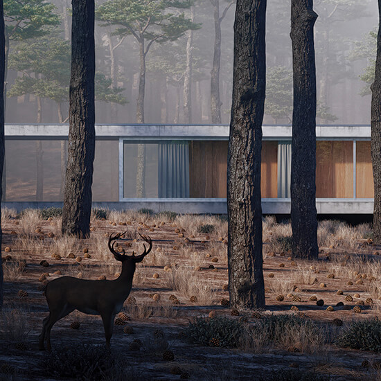Germano Vieira 3D Render House Forest