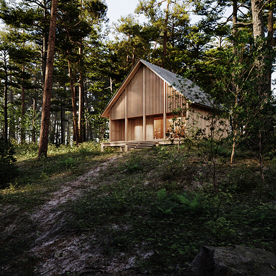 Soma Visuals 3D Render House Forest