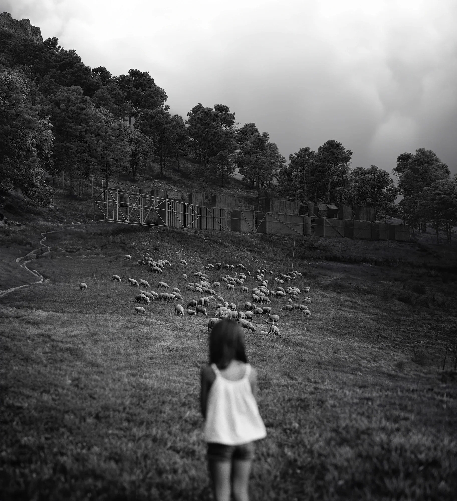 Jean-Paul El Hachem, JPAG Atelier Sheeps 3d Renderings