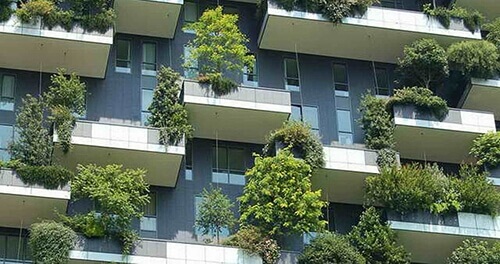 Biophilic Architecture: What it is and How to Apply it