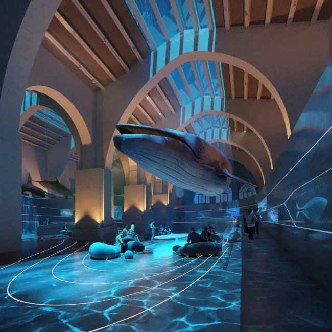 Level Creative Studio