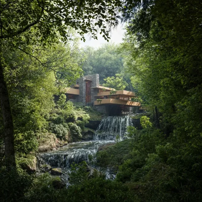 Carl Williams Visualisation