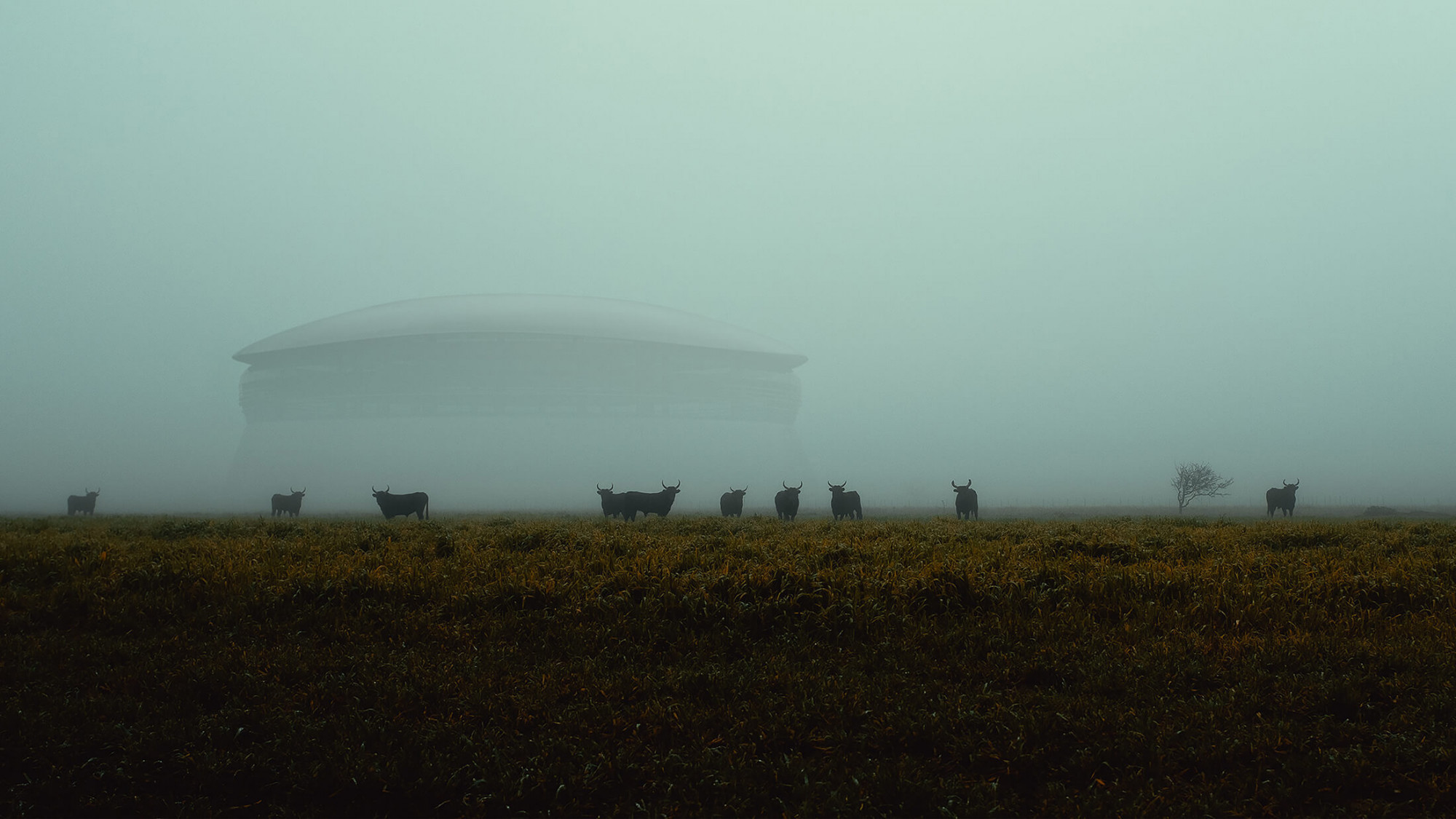 Commercial 3D Rendering and Visualization