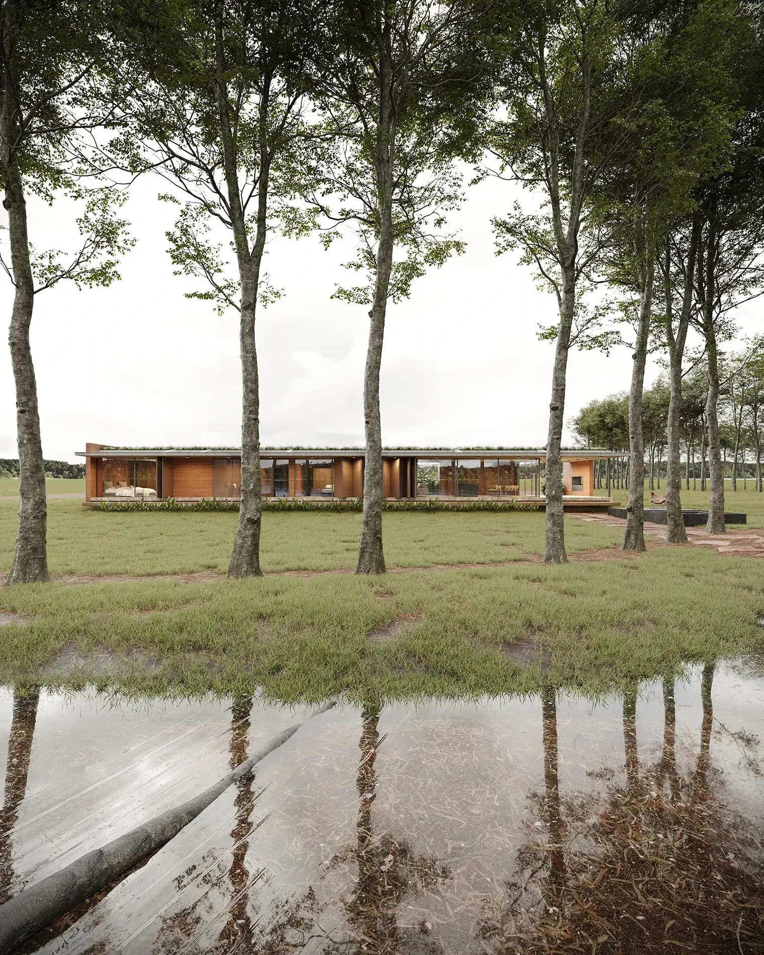 Estudio Branchini Estudio Branchini