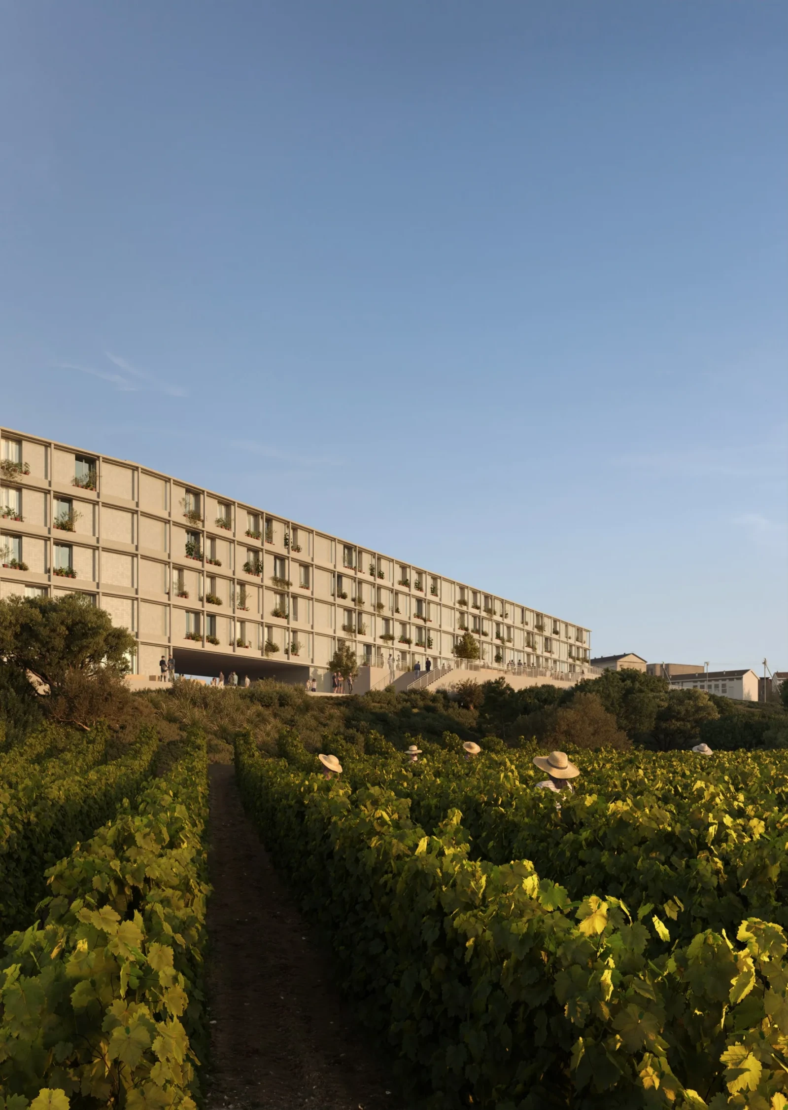 BARBAR Studio BARBAR Studio